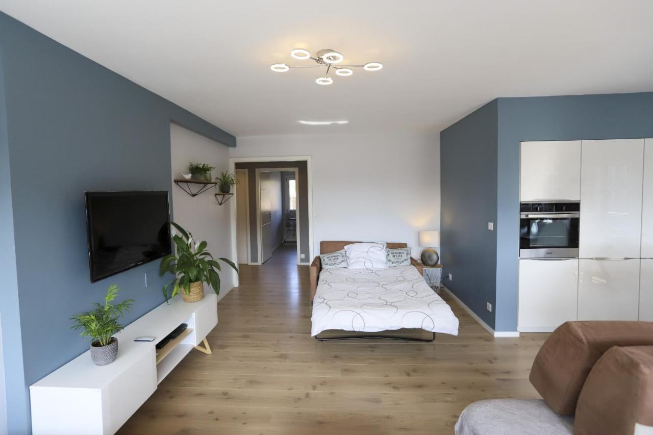 Azur Bleu 4 Etoiles Annecy Centre-Ville Et Lac Lumineux 外观 照片